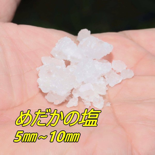 画像2: メダカの塩・850ｇ　 (2)