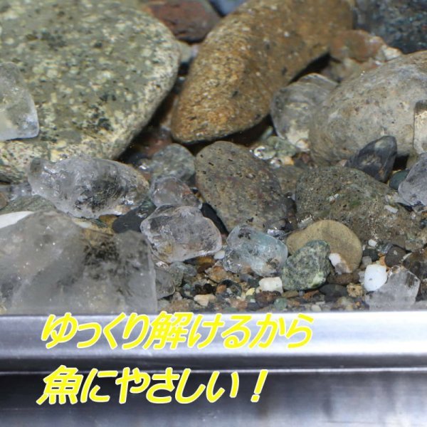 画像3: メダカの塩・850ｇ　 (3)