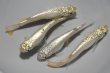 画像1: SR（スーパーラメ）メダカの稚魚・10匹　　　銀 (1)