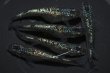 画像1: アズライトメダカの稚魚・10匹　　銀 (1)