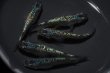 画像3: アズライトメダカの稚魚・10匹　　銀 (3)