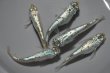 画像1: 超緑光ラメメダカの稚魚・10匹　　銀 (1)