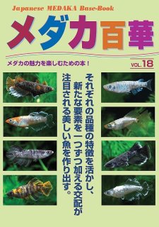 メダカ専門店 静岡から全国へ発送