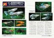 画像5: メダカ百華VOL.１9　　1冊　 (5)