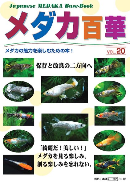 画像1: メダカ百華VOL.２０　　1冊　 (1)