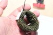 画像3: メダカ産卵床・２００個　　　 (3)
