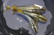 画像1: スパークルヘイキメダカの稚魚・10匹　　　 (1)