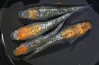 画像2: 大輝メダカの稚魚・10匹　　　 (2)